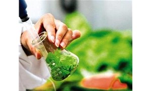 合肥食品檢測：重金屬元素中常見的元素有哪些？